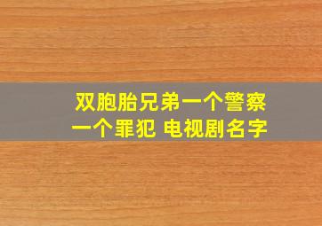 双胞胎兄弟一个警察一个罪犯 电视剧名字